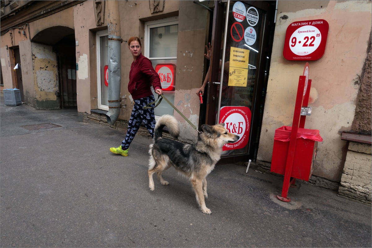 «***» раздел «Жанр». «Panasonic-GX7»