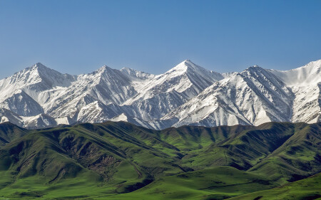 Не Рейн