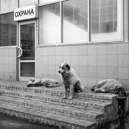 Посменная работа