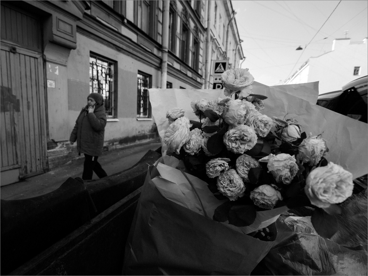«***» раздел «Городской пейзаж». «Panasonic-G7.»