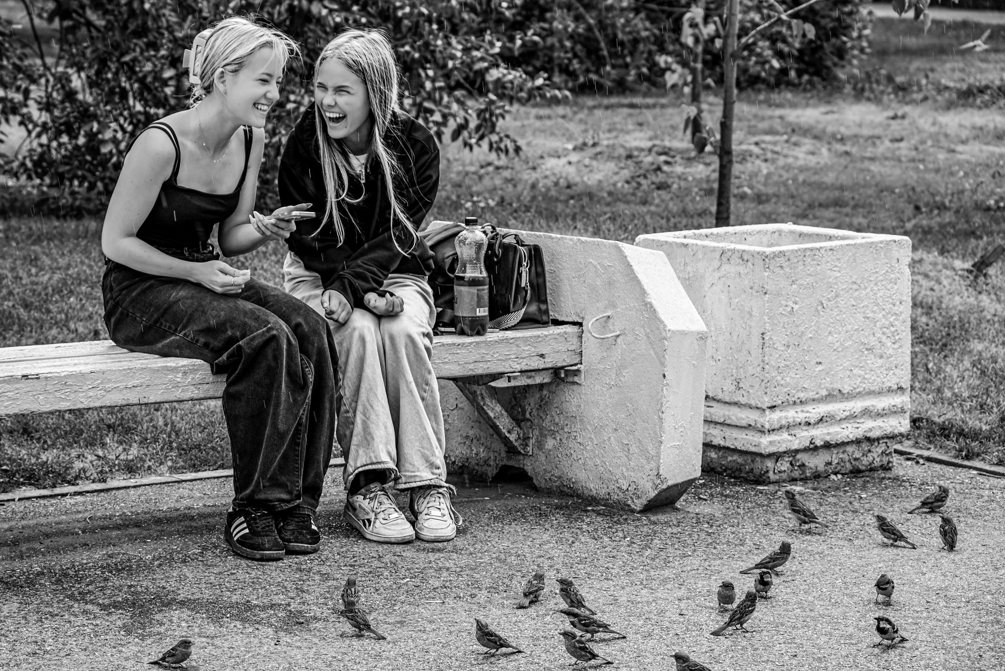 sparrows. раздел Папарацци, Жанр