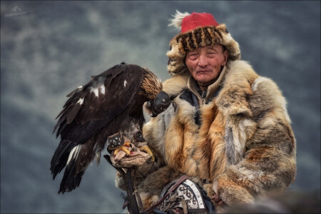 Беркутчи