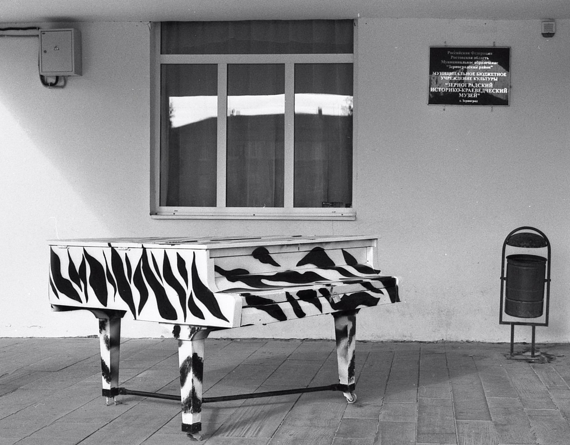 Зеброяль. раздел Жанр. Nikon FE2 Tasma-42