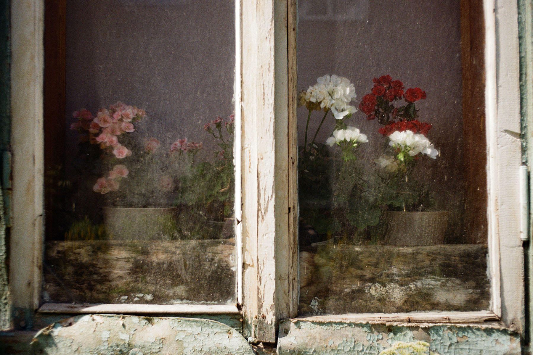 «-» раздел «». «Kodak Pro Image 100»