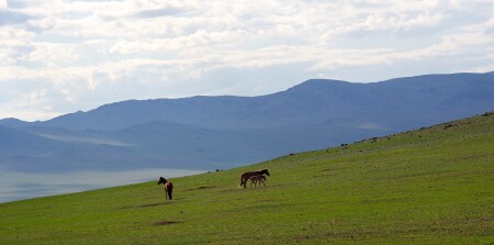 Монгольский пейзаж