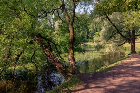 На реке