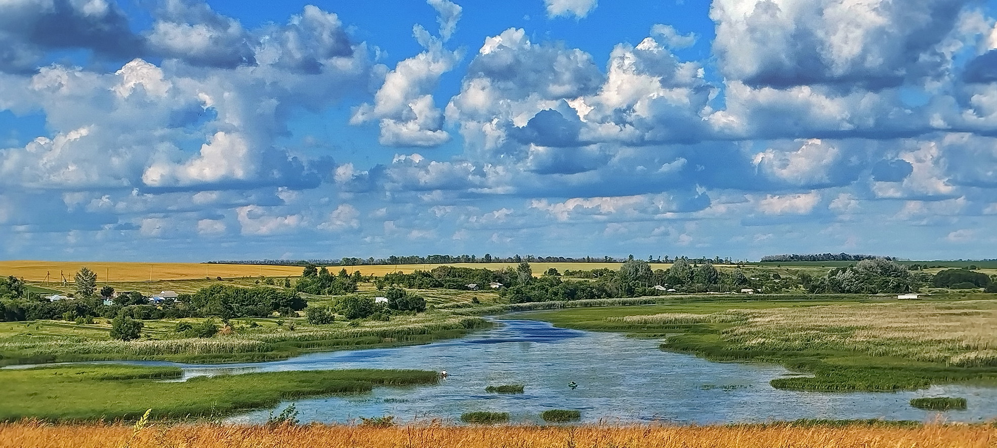 Река Потудань. раздел Природный пейзаж