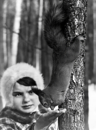 Зима, Измайлово.