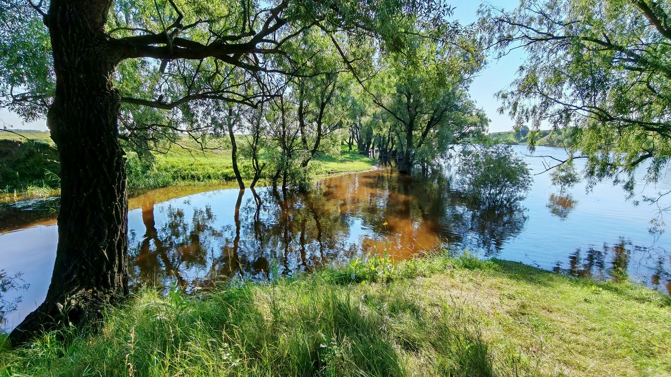 «Река Омь» раздел «Природный пейзаж». «»