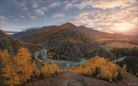 Петля Аргута