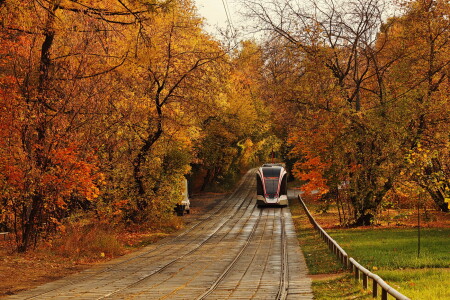 Московская осень.