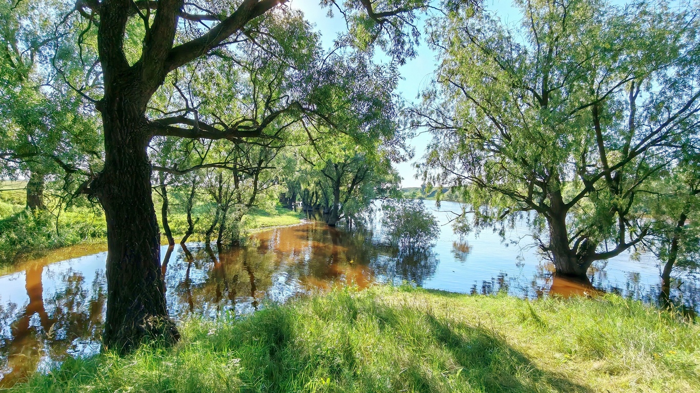 Река Омь. раздел Природный пейзаж