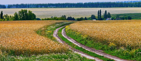 Хуторок.