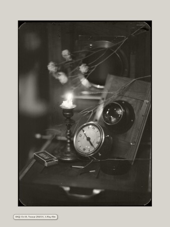 SK-dr-nat 004