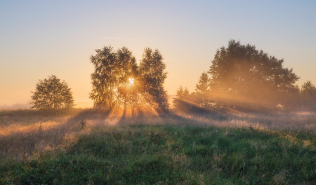 первые лдучи