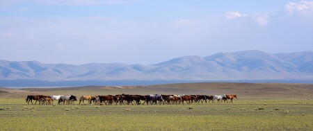 Раздолье