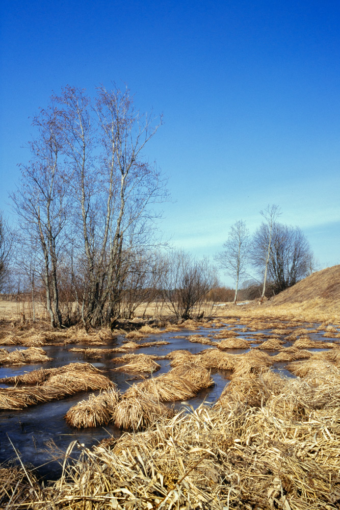 SAM_4674. раздел Природный пейзаж. Nikon FM2Fuji Velvia 50