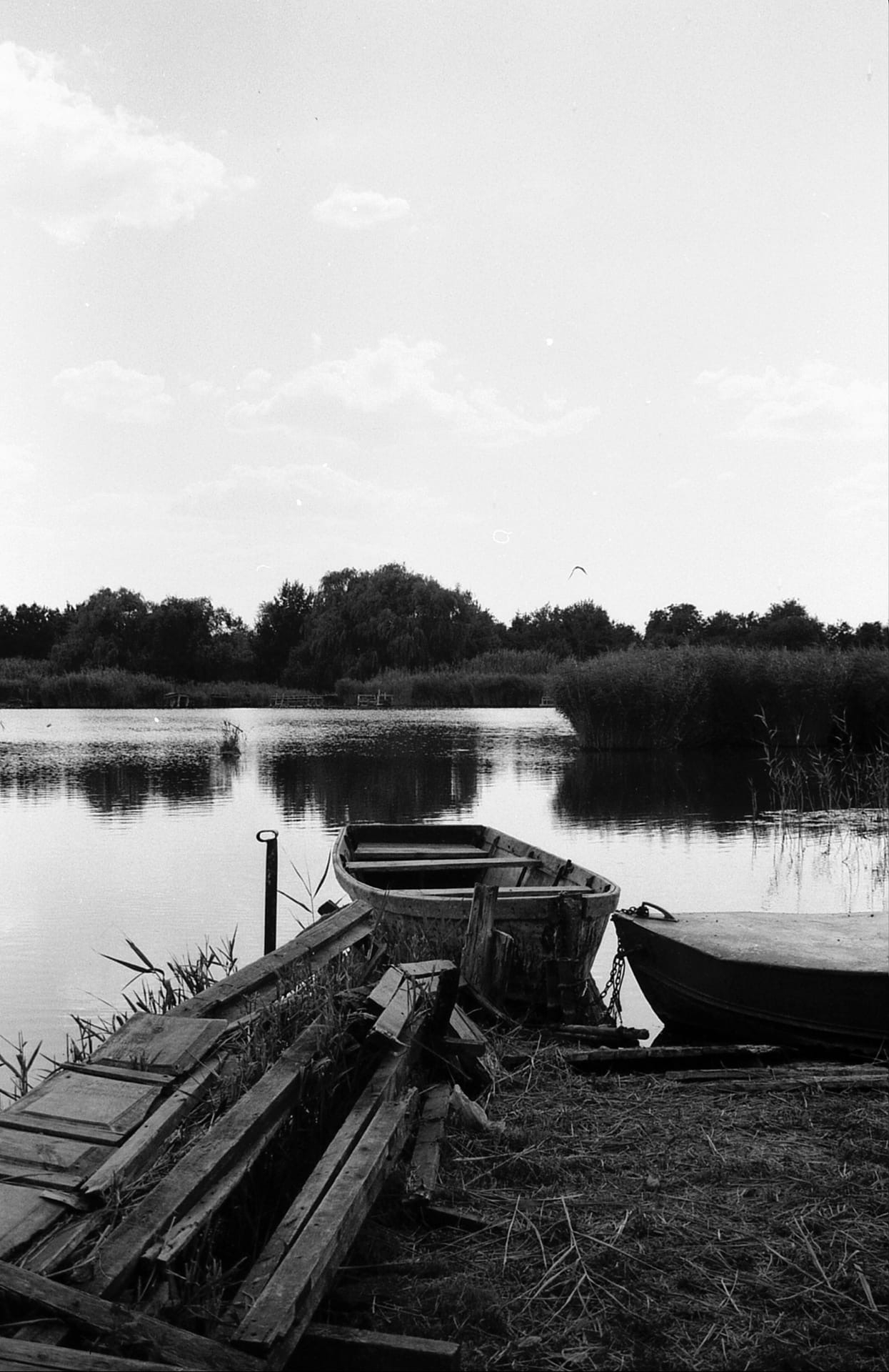 ***. раздел Природный пейзаж. Canon EOS 3000 Тасма-42
