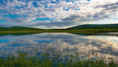 Летняя панорама