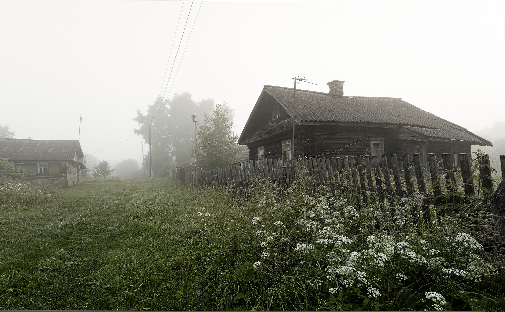 опять туман. раздел Природный пейзаж