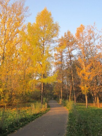 Золотая аллея