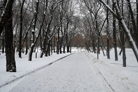 Зима в городском парке