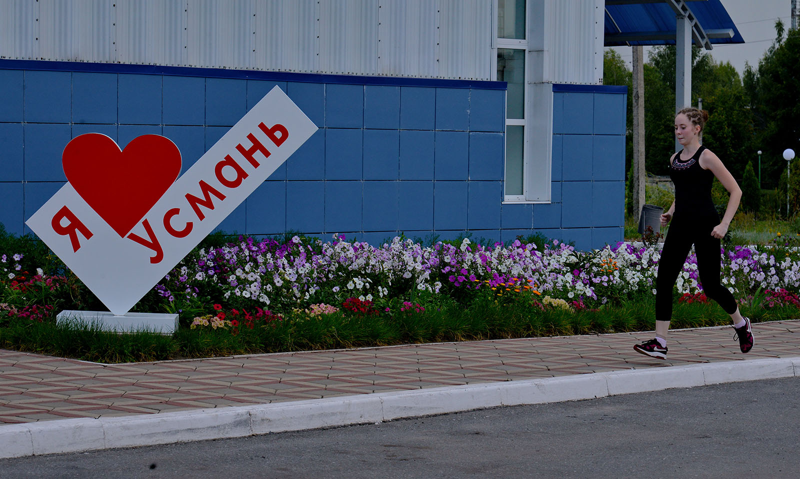 «Радость движения.» раздел «Спорт». «»