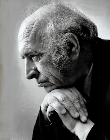 Николаев В.А. (1911-2000) профессор.