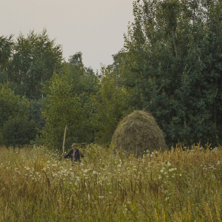 жизнь