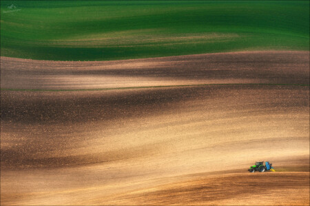 FIELD RUNNER