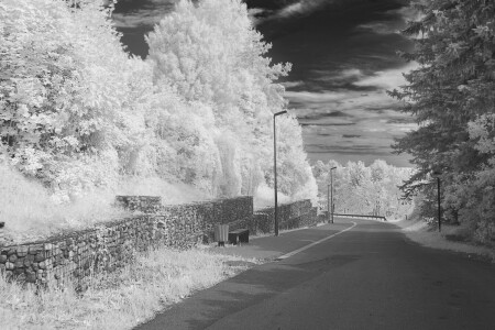 Black &amp; White