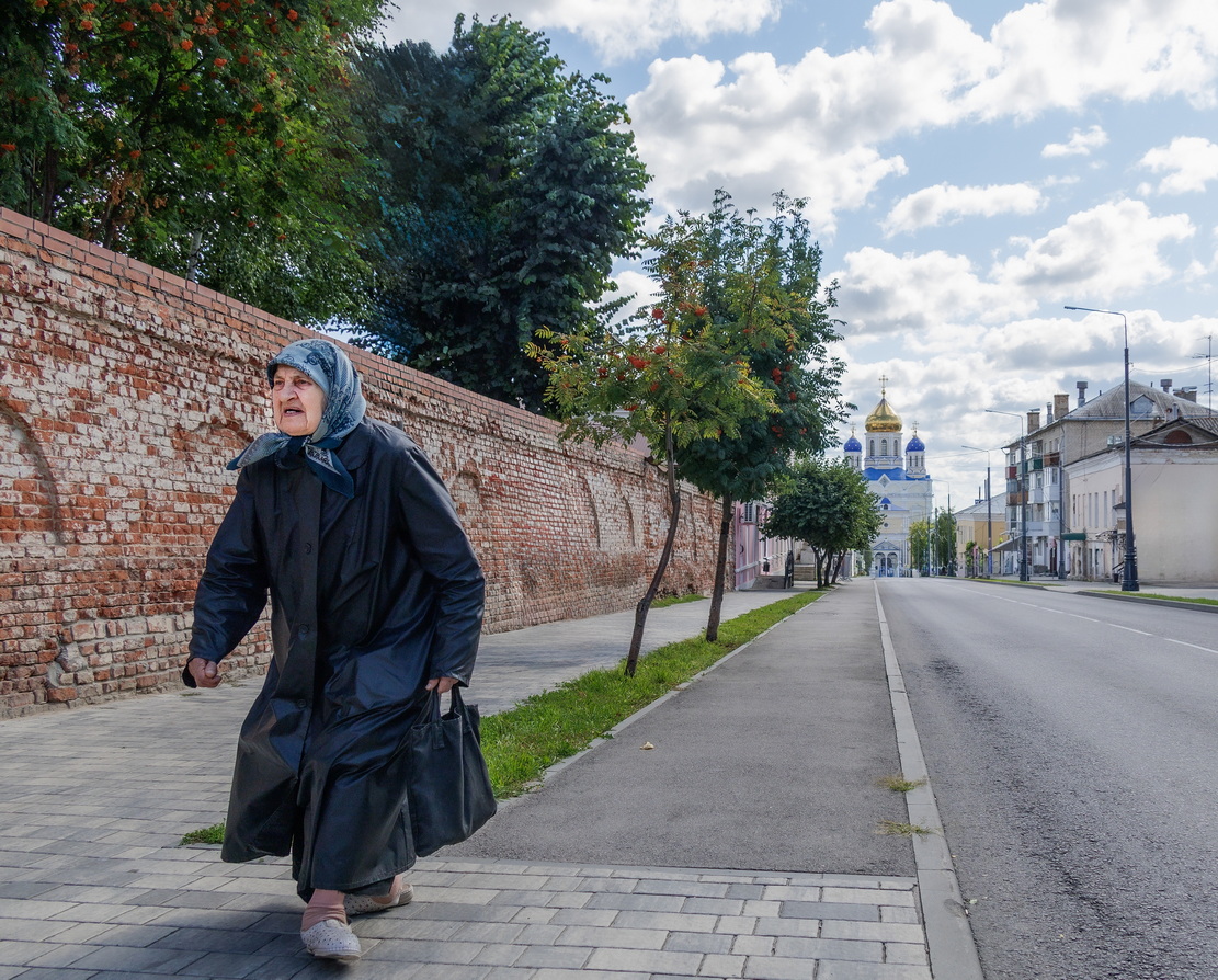 «Старушка с улицы Коммунаров» раздел «Жанр». «Елец»