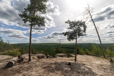 Лесная