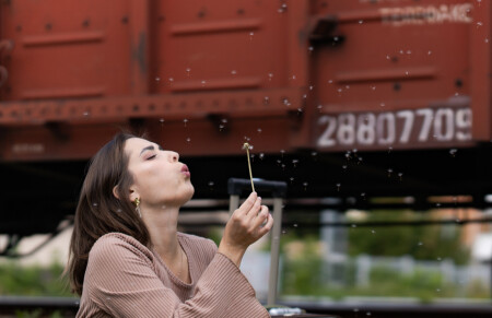 одуванчик...