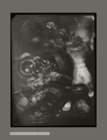 SK-dr-nat 0036