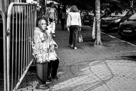 Гладиолусы...