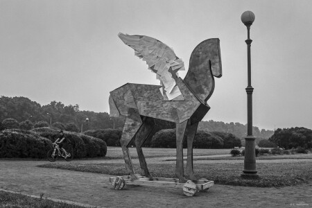Пегас. Марсово поле, С-Пб. 2013.