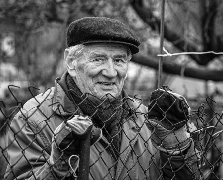 Сосед