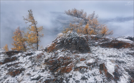 На семи ветрах