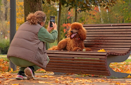 Фотосессия