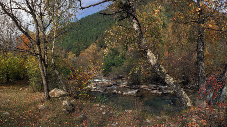 Осень.