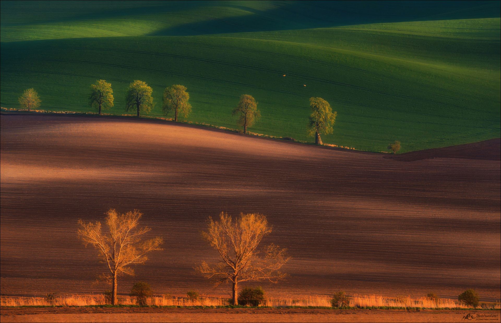 Грании цвета. раздел Природный пейзаж. Чехия, Южная Моравия.(с) phototravel.pro