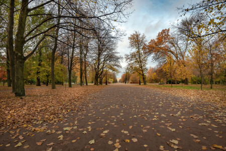 в старом парке