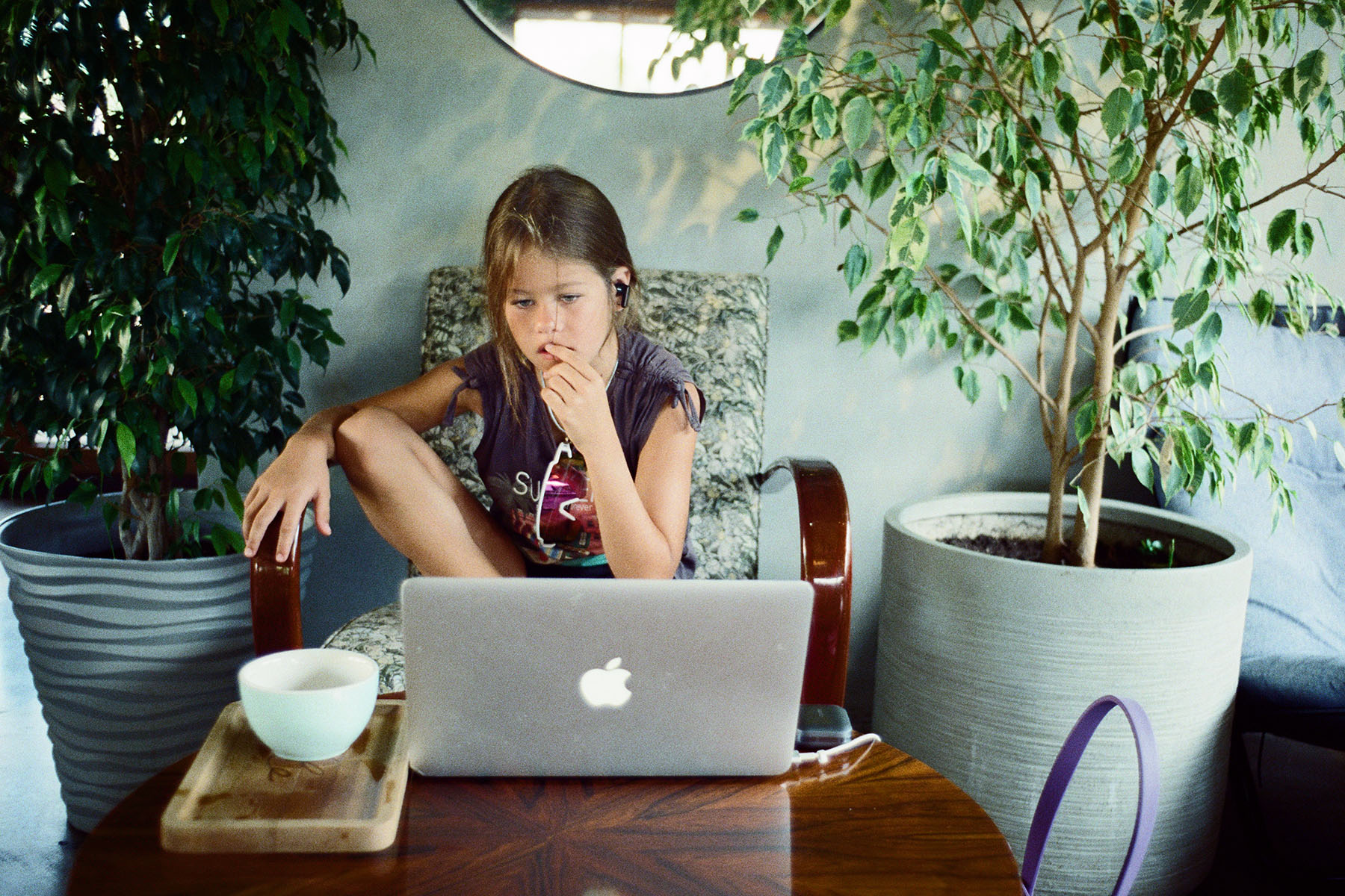«-» раздел «». «Kodak Vision 3 500T AHU»