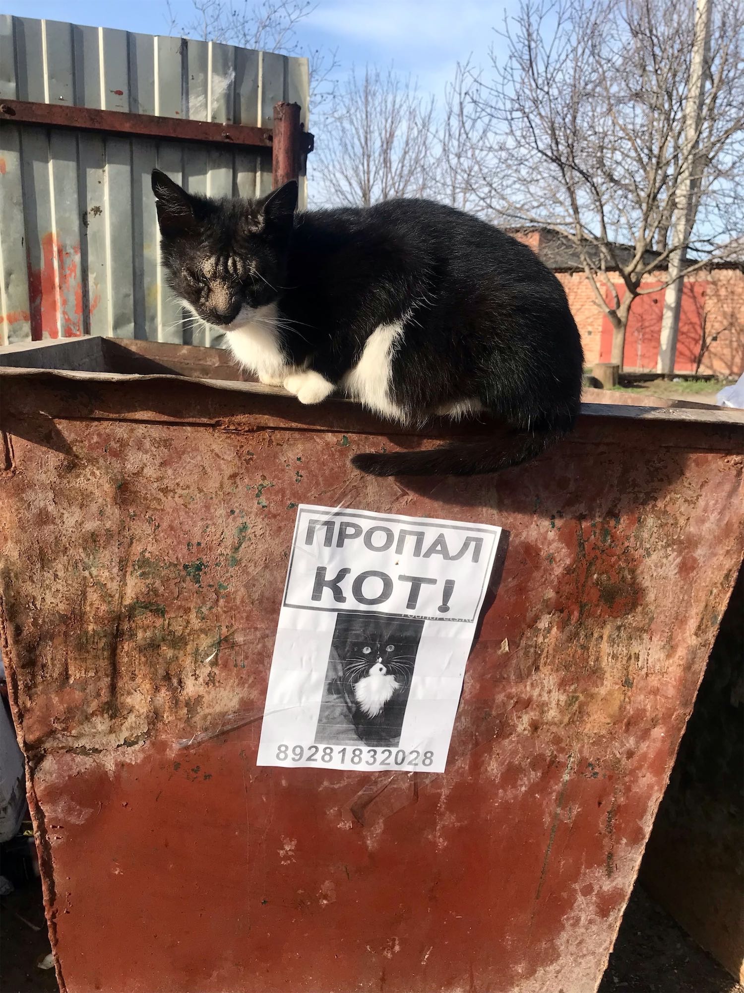 «***» раздел «Юмор». «»