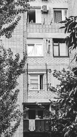 Соседское