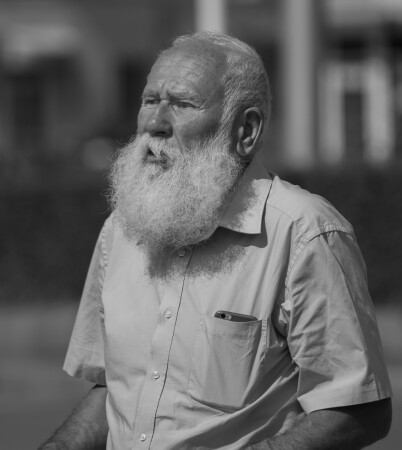 Пикетчик