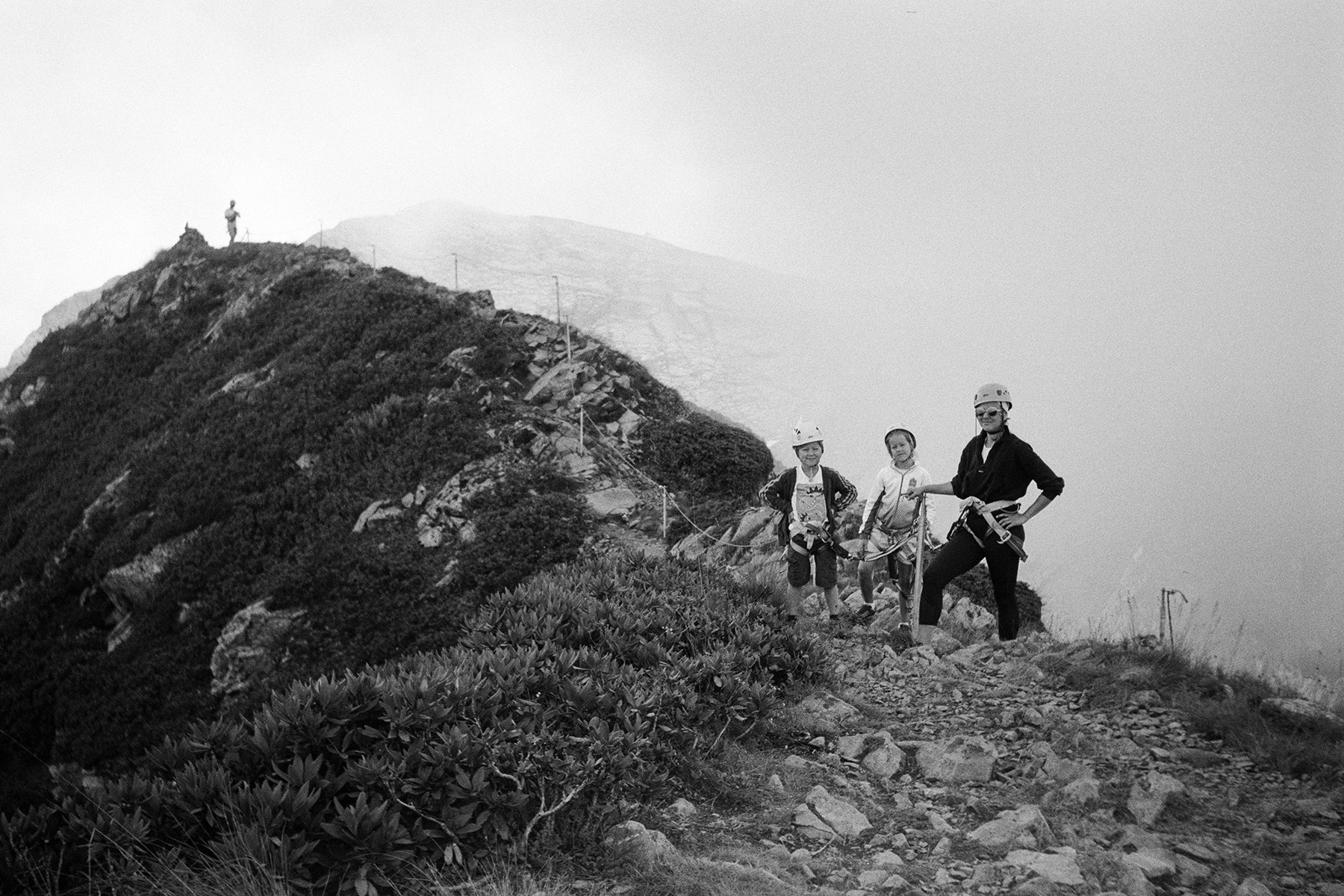 «-» раздел «». «Kentmere Pan 100»