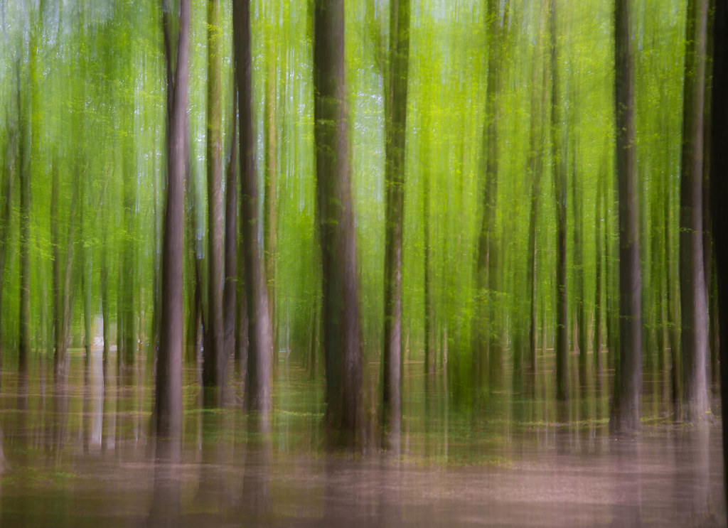 «№2» раздел «Фото - Арт». «»