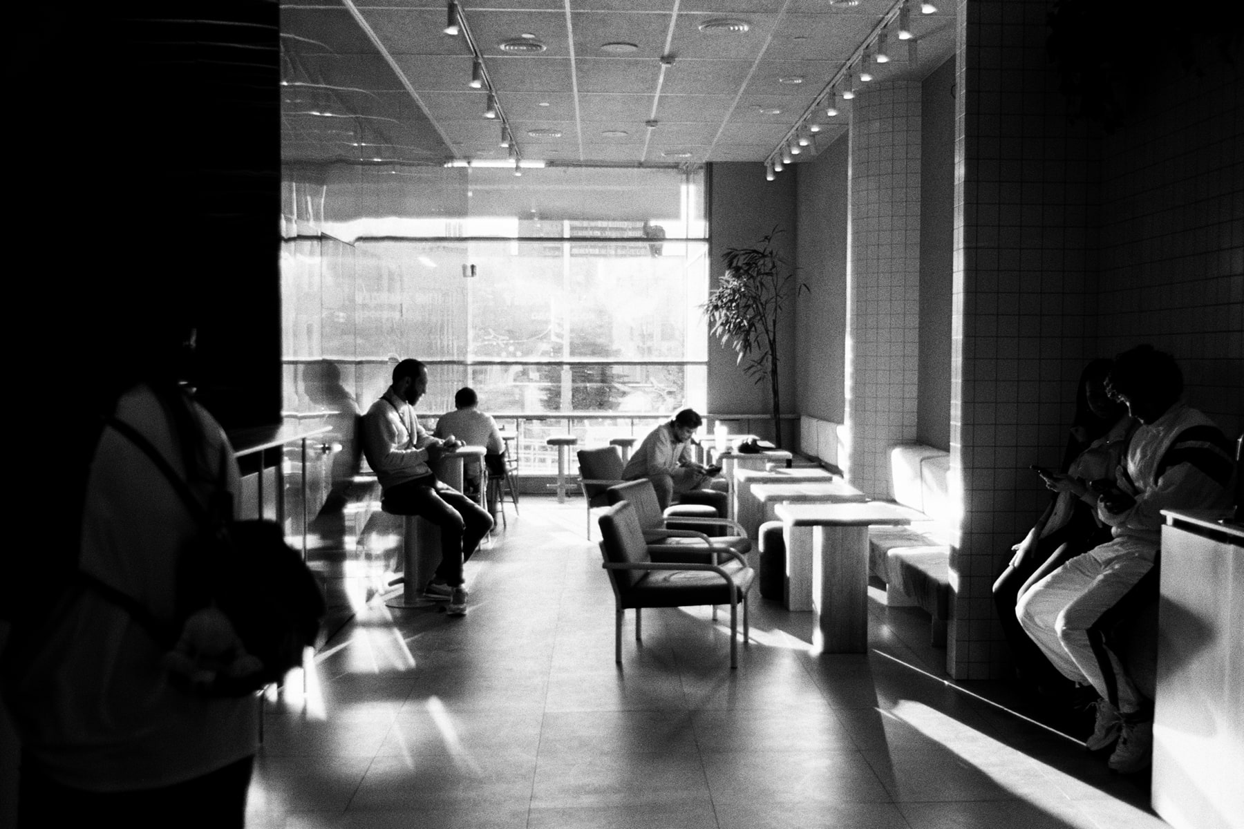 «-» раздел «Жанр». «Kodak Tri-X 400»